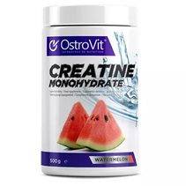 OstroVit CREATINE (500 гр)