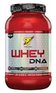 BSN Whey Protein DNA (788-840 гр)