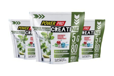 Power Pro Creatine Maximum Recovery (400 гр) мохито
